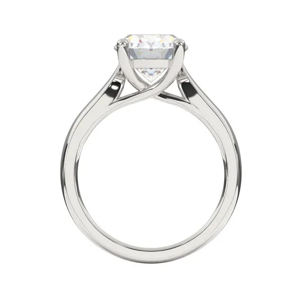 14K WG Solitaire Cathedral Engagement Ring 2mm width Shank Image 3 The Ring Austin Round Rock, TX