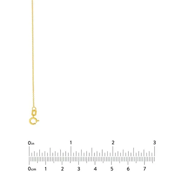 14K YG 1.05mm Open Cable Chain With Spring Ring Clasp 20'' Image 5 The Ring Austin Round Rock, TX