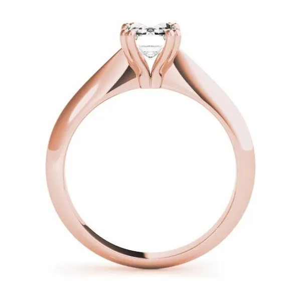 Diamond Engagement Rings Image 2 The Source Fine Jewelers Greece, NY