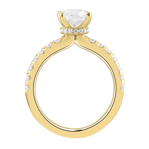Lab Grown Diamond Engagement Ring Image 2 The Source Fine Jewelers Greece, NY