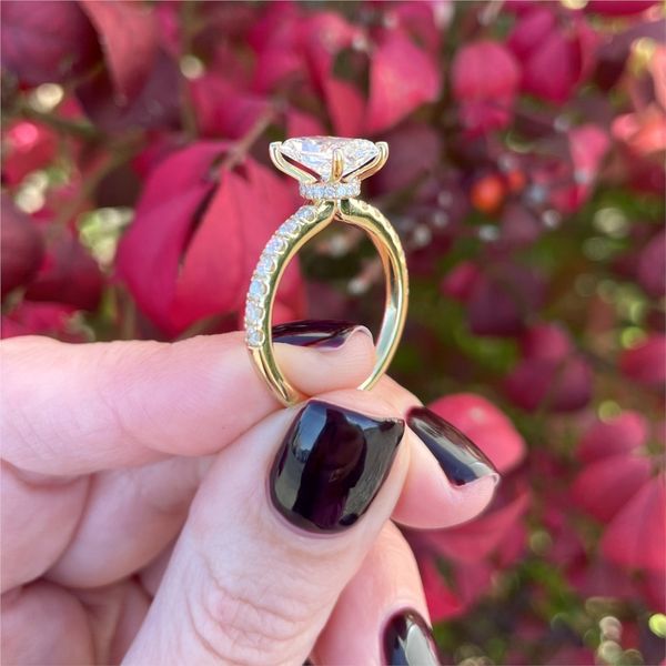 Lab Grown Diamond Engagement Ring Image 5 The Source Fine Jewelers Greece, NY