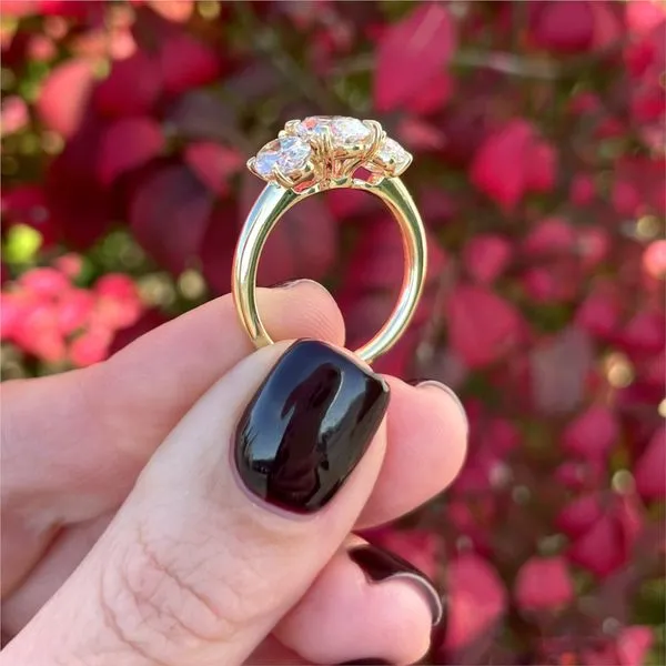 Lab Grown Diamond Engagement Ring Image 3 The Source Fine Jewelers Greece, NY