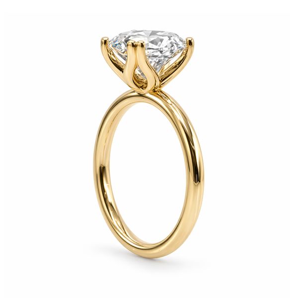 Lab Grown Diamond Engagement Ring Image 2 The Source Fine Jewelers Greece, NY