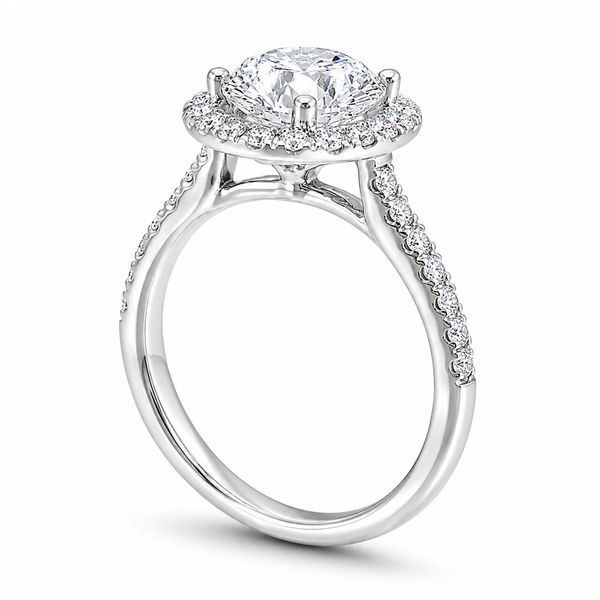 Lab Grown Diamond Engagement Ring Image 2 The Source Fine Jewelers Greece, NY