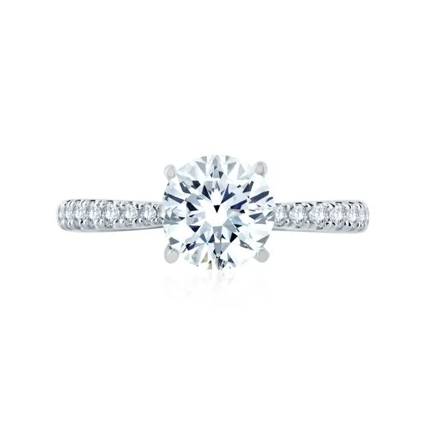Diamond Engagement Ring Setting Image 2 The Source Fine Jewelers Greece, NY
