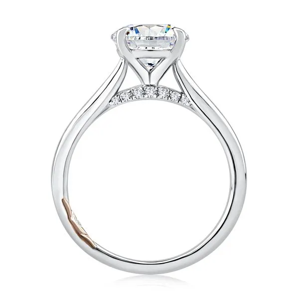 Semi-Mount Ring