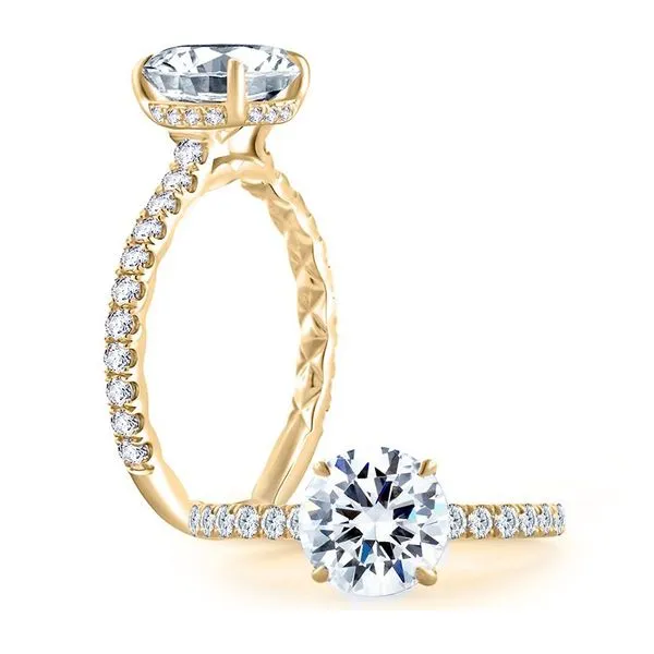 Diamond Engagement Ring Setting The Source Fine Jewelers Greece, NY