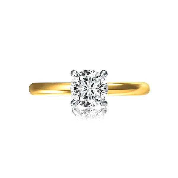 Diamond Engagement Ring Setting Image 2 The Source Fine Jewelers Greece, NY