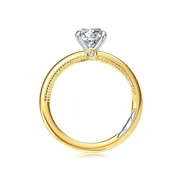 Diamond Engagement Ring Setting Image 3 The Source Fine Jewelers Greece, NY