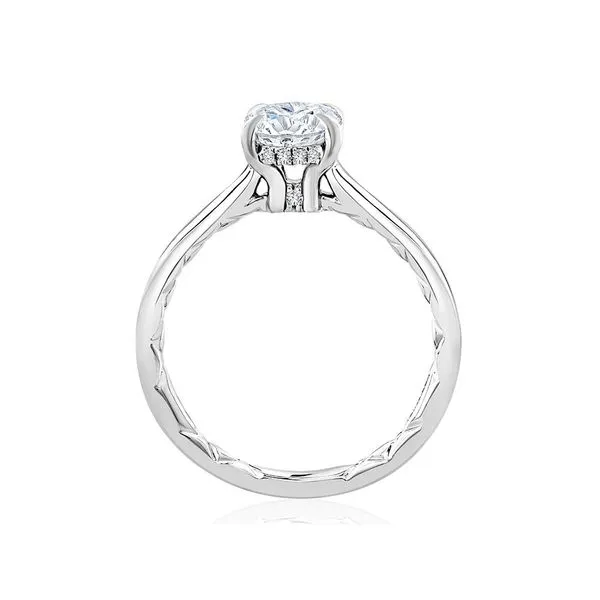 Semi-Mount Ring