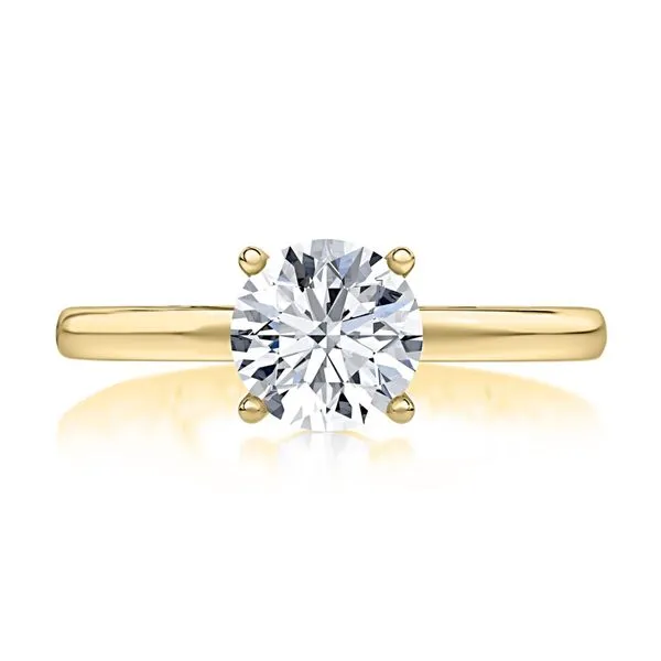 Semi-Mount Ring