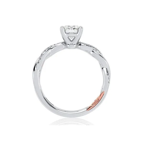 Semi-Mount Ring