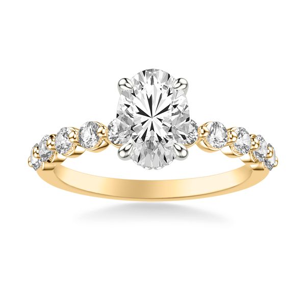 Diamond Engagement Ring Setting Image 2 The Source Fine Jewelers Greece, NY