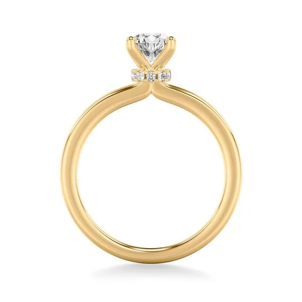 Diamond Engagement Ring Setting Image 3 The Source Fine Jewelers Greece, NY