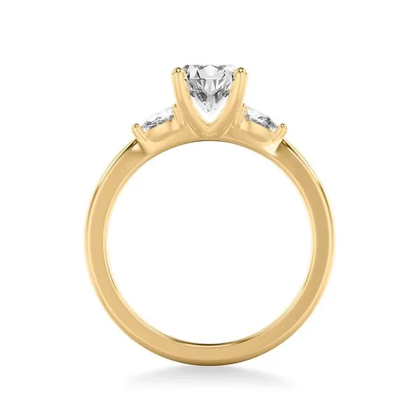 Diamond Engagement Ring Setting Image 3 The Source Fine Jewelers Greece, NY