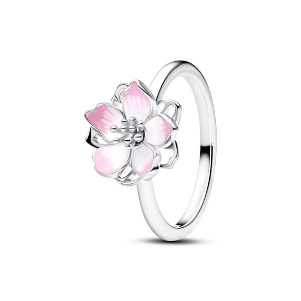 Ring The Source Fine Jewelers Greece, NY