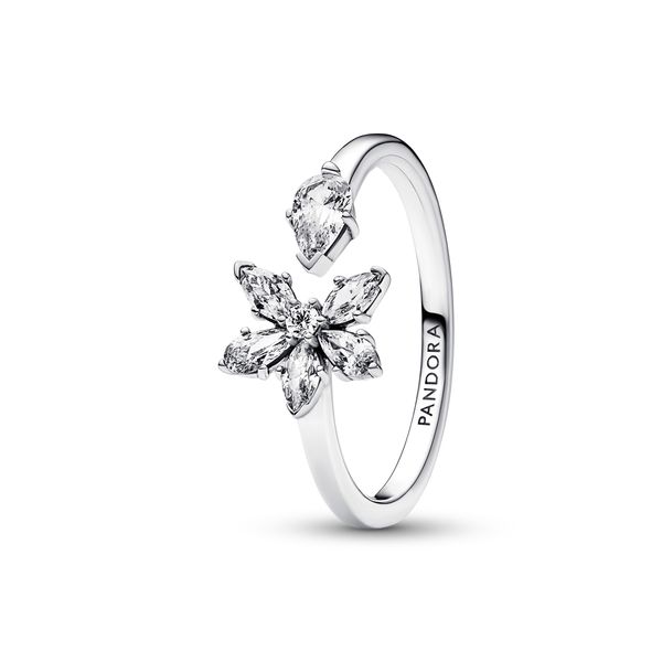 Ring The Source Fine Jewelers Greece, NY