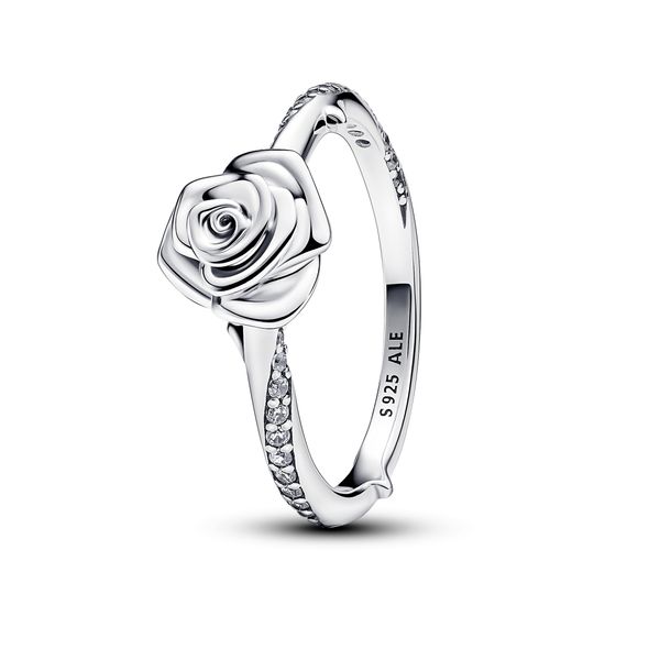 Ring The Source Fine Jewelers Greece, NY