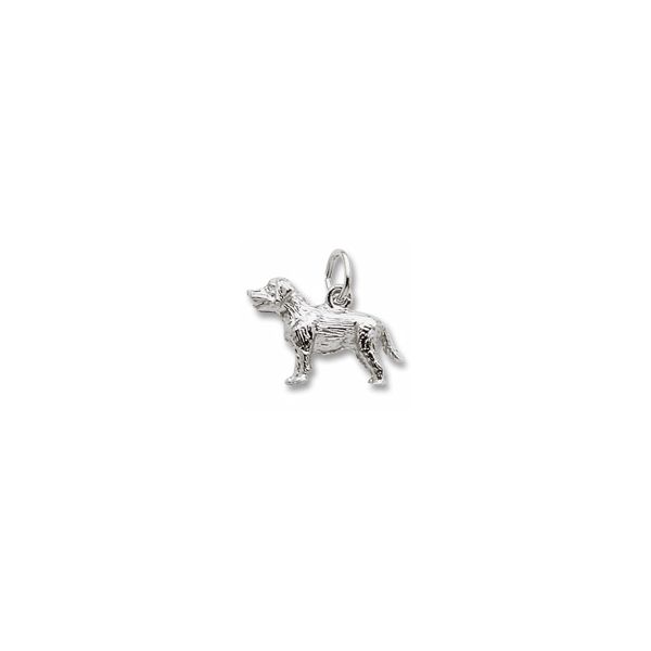 Charm The Source Fine Jewelers Greece, NY
