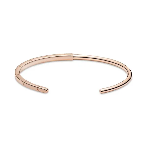 Bracelet Jewelry Image 2 The Source Fine Jewelers Greece, NY