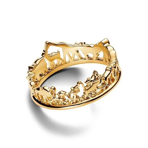 Jewelry Image 2 The Source Fine Jewelers Greece, NY