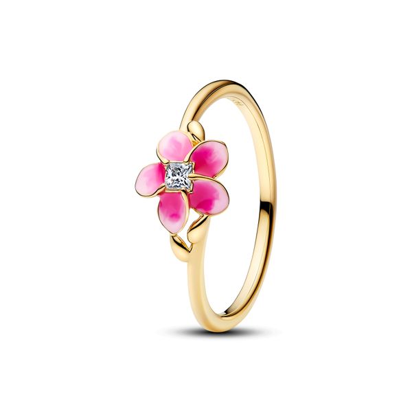 Pandora Ring The Source Fine Jewelers Greece, NY