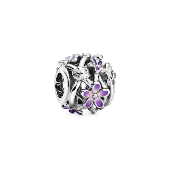 Pandora Beads The Source Fine Jewelers Greece, NY