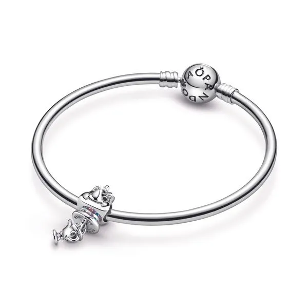 Pandora Charms Image 5 The Source Fine Jewelers Greece, NY