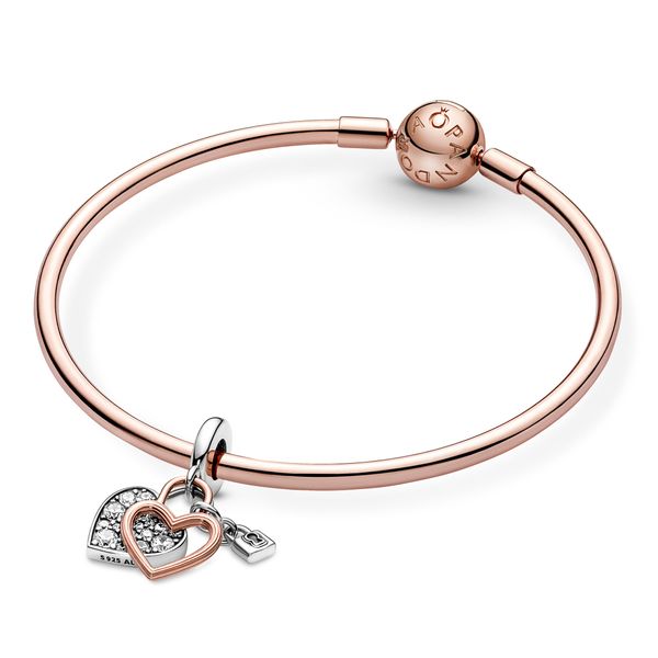 Pandora Charms Image 5 The Source Fine Jewelers Greece, NY