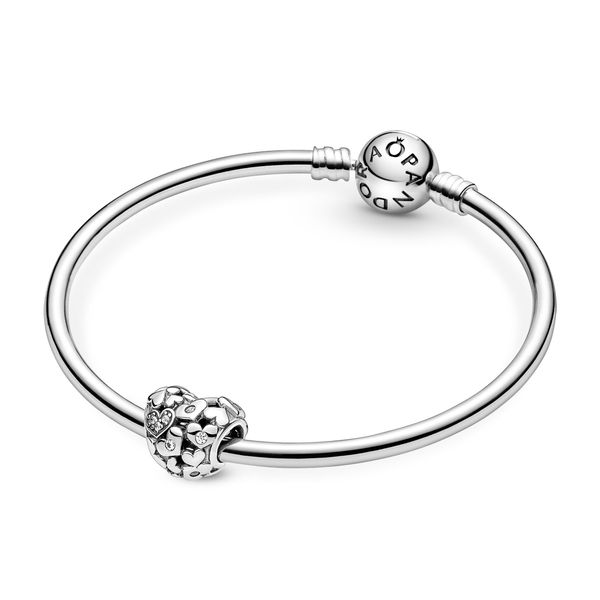 Pandora Charms Image 5 The Source Fine Jewelers Greece, NY