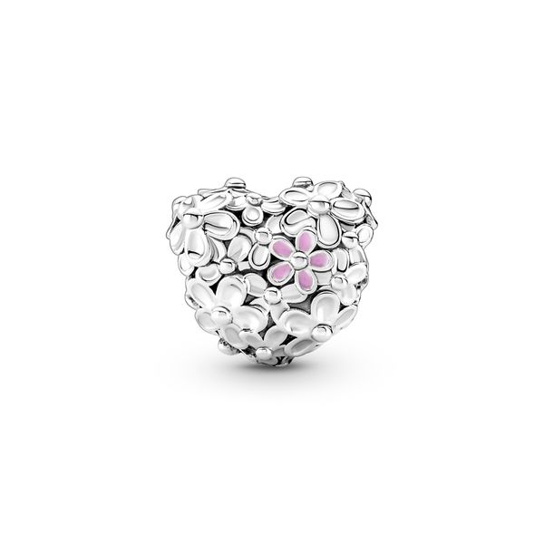 Pandora Charms Image 2 The Source Fine Jewelers Greece, NY