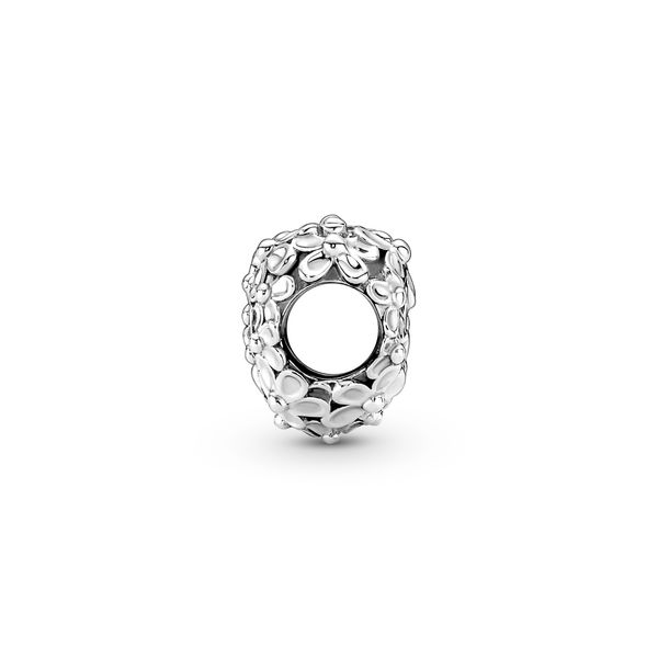 Pandora Charms Image 3 The Source Fine Jewelers Greece, NY