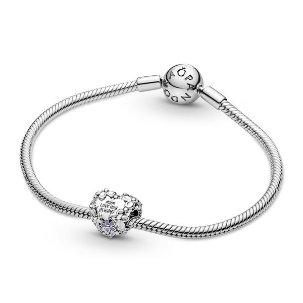 Pandora Charms Image 5 The Source Fine Jewelers Greece, NY