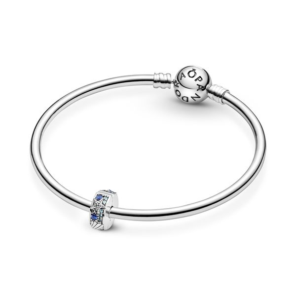Pandora Charms Image 5 The Source Fine Jewelers Greece, NY