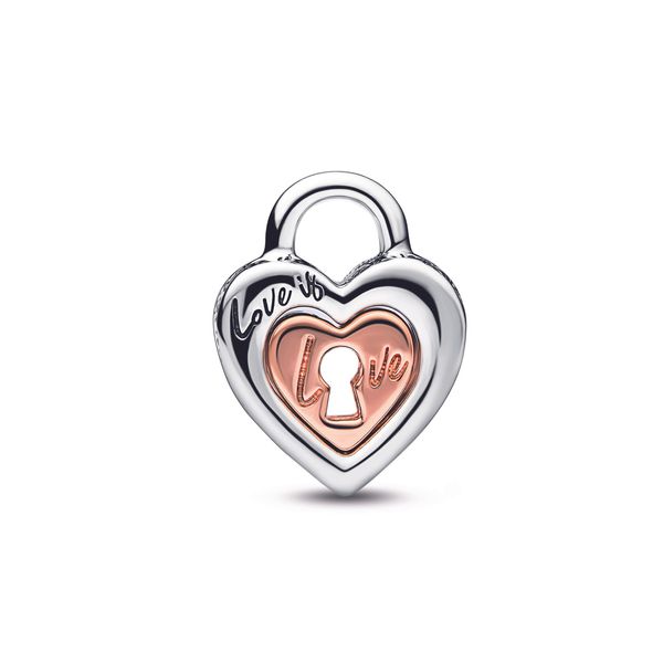 Pandora Charms Image 2 The Source Fine Jewelers Greece, NY