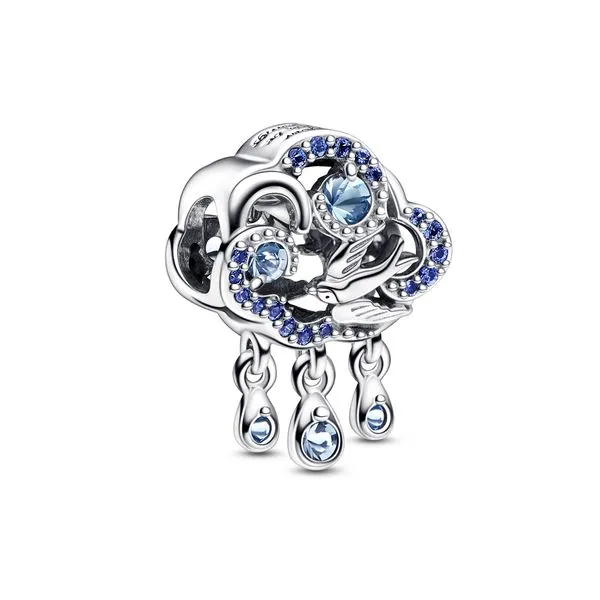 Pandora Charms The Source Fine Jewelers Greece, NY