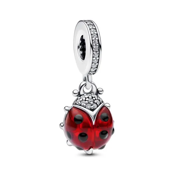 Pandora Charms The Source Fine Jewelers Greece, NY