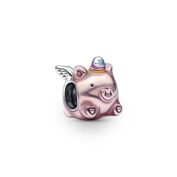 Pandora Charms The Source Fine Jewelers Greece, NY
