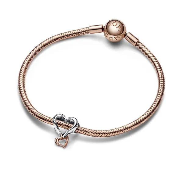 Pandora Charms Image 3 The Source Fine Jewelers Greece, NY