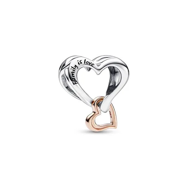 Pandora Charms The Source Fine Jewelers Greece, NY
