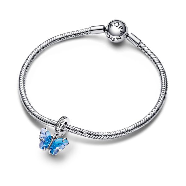 Pandora Charms Image 3 The Source Fine Jewelers Greece, NY