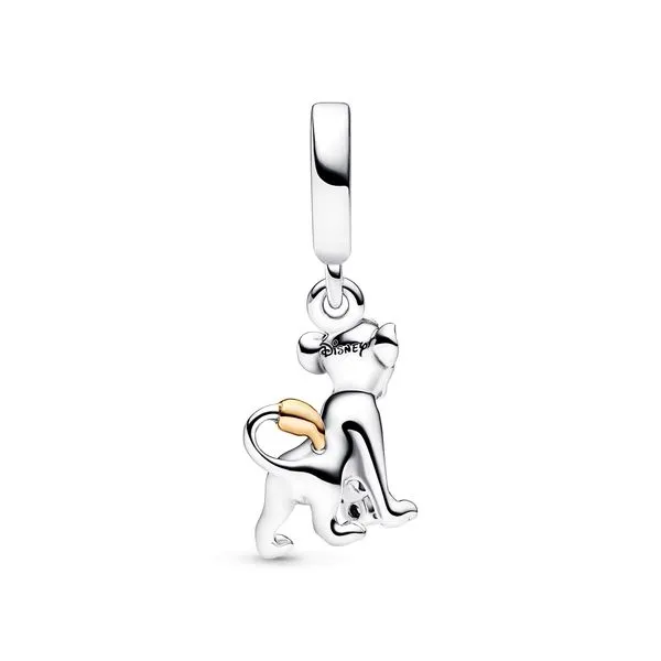 Pandora Charms Image 2 The Source Fine Jewelers Greece, NY