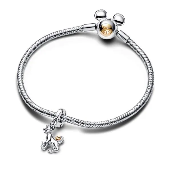 Pandora Charms Image 3 The Source Fine Jewelers Greece, NY