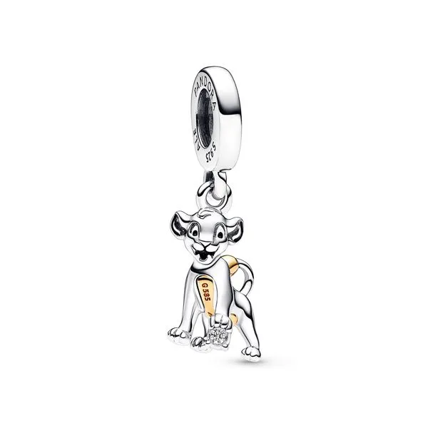 Pandora Charms The Source Fine Jewelers Greece, NY