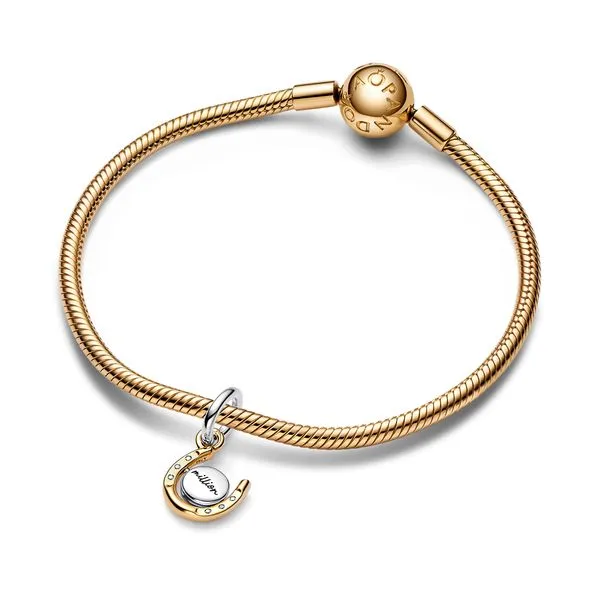 Pandora Charms Image 3 The Source Fine Jewelers Greece, NY
