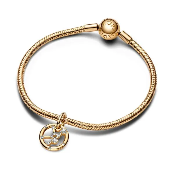 Pandora Charms Image 3 The Source Fine Jewelers Greece, NY