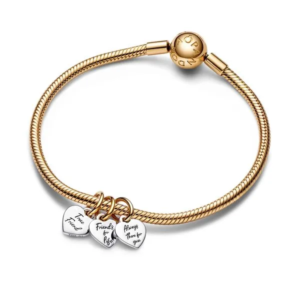 Pandora Charms Image 3 The Source Fine Jewelers Greece, NY