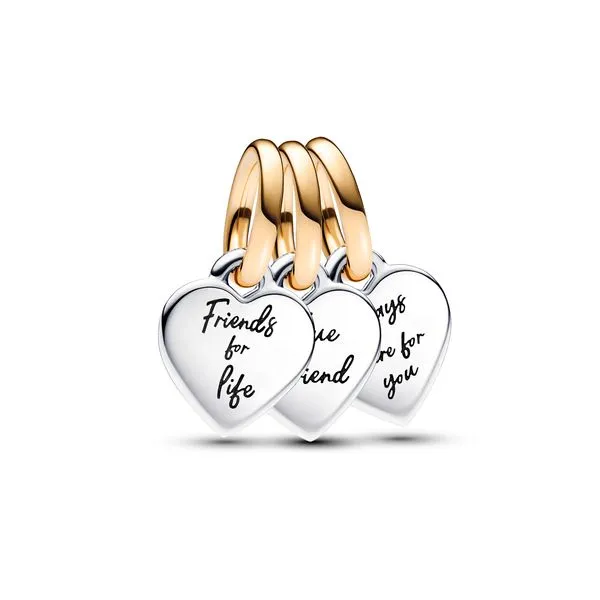 Pandora Charms The Source Fine Jewelers Greece, NY