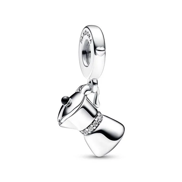 Pandora Charms The Source Fine Jewelers Greece, NY