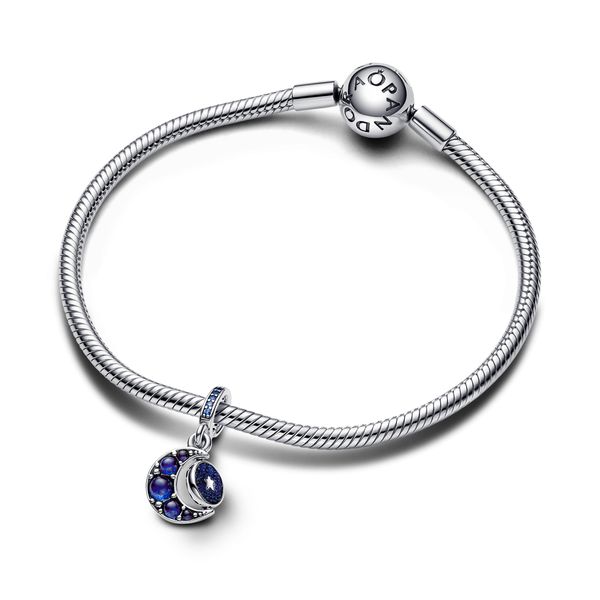 Pandora Charms Image 3 The Source Fine Jewelers Greece, NY